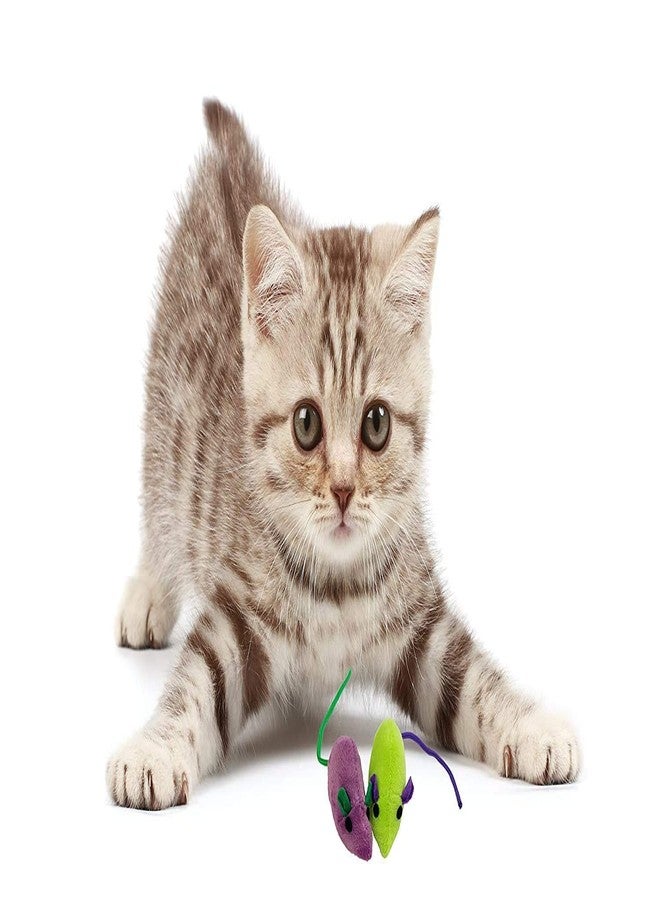 D&C PAWS لعبة قطط وفأر محشوة من دي آند سي باوز، قطعتان، لعبة جديدة مقاومة للعض للحيوانات الأليفة، لعبة النعناع البري للقطط الصغيرة، لعبة تفاعلية للمضغ والعض والمطاردة والتمرين، صغيرة (عبوة من قطعتين) متعددة الألوان. - Image 5